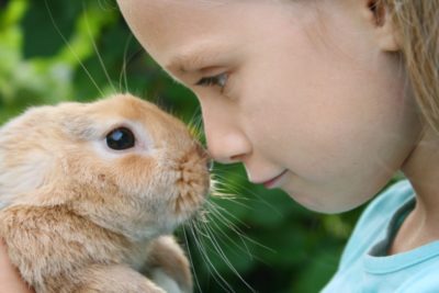 A young girl is holding a rabbit in her hands.