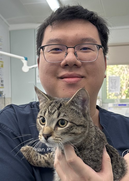 Dr Brian
